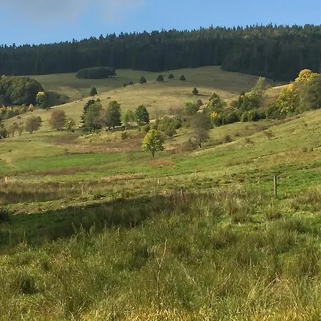 Πανσιόν Genusshotel Gersbacher Hof Todtmoos